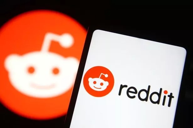 Authentic Reddit Usernames for Sale Online