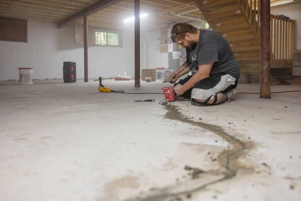 Top Local Waterproofing and Foundation Repair in Wilmington What You Need to Know