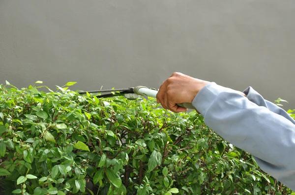 Expert Advice on Installing Electric Fencing Quickly and Safely